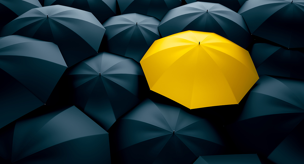 BİREY TOPLUM VE DEVLET