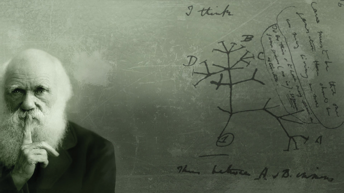 Eşref-i Mahlukat Kalmak