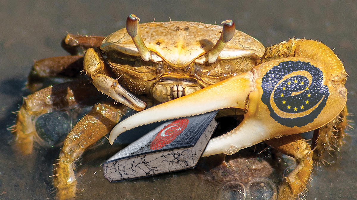 EĞİTİMİMİZ AVRUPA KONSEYİ’NİN KISKACINDA