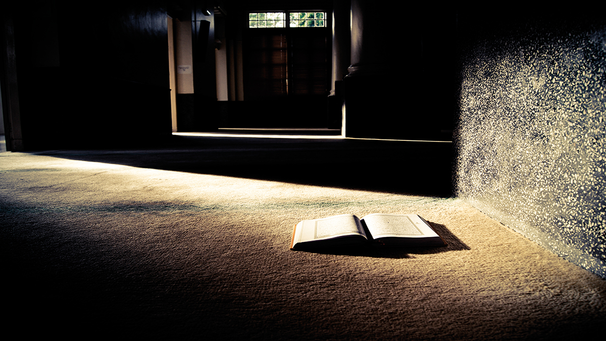 EĞİTİM HAMURUMUZA MİLLİ GÖRÜŞ MAYASI