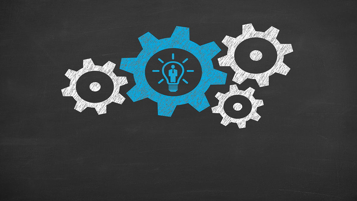 YENİ MÜFREDAT, YENİ ANAYASA VE  ESKİ KAFA