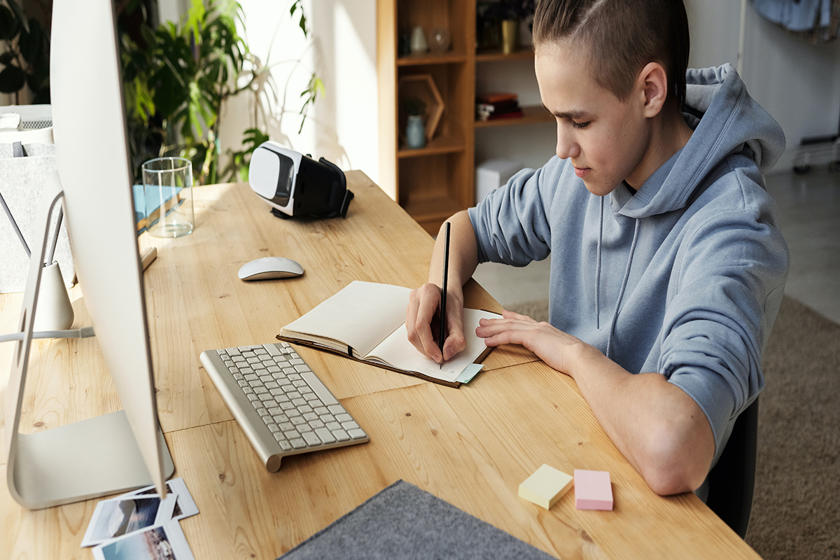 Z KUŞAĞI VE YÖNETİMİ