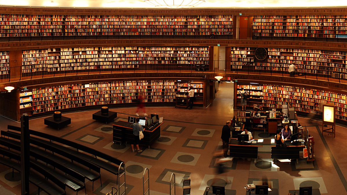 Üniversite Yerine Bölgeye Uygun İş İmkanların Oluşturulmalı