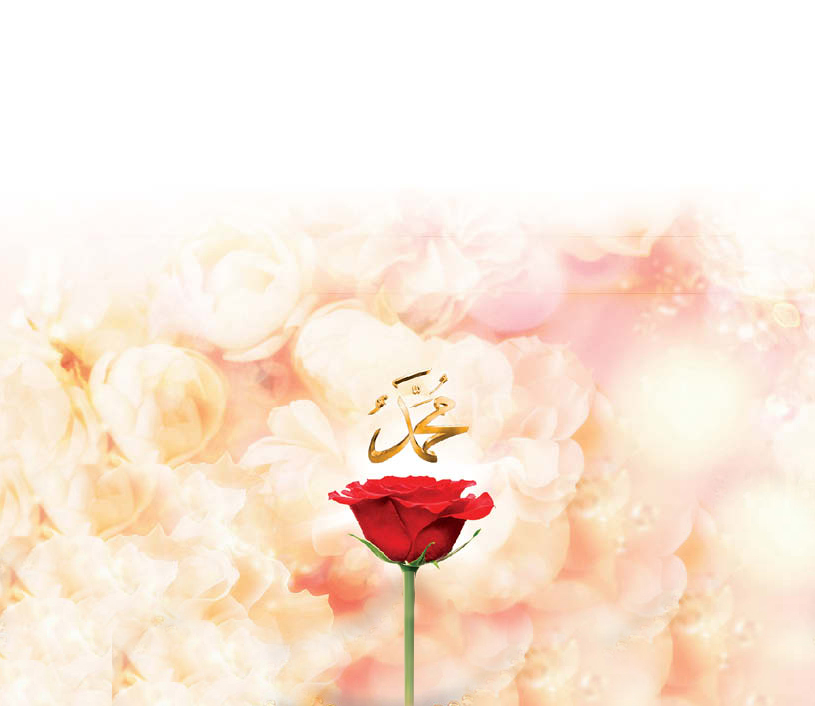 Veda Hutbesi ve BM İnsan Hakları Beyannamesi