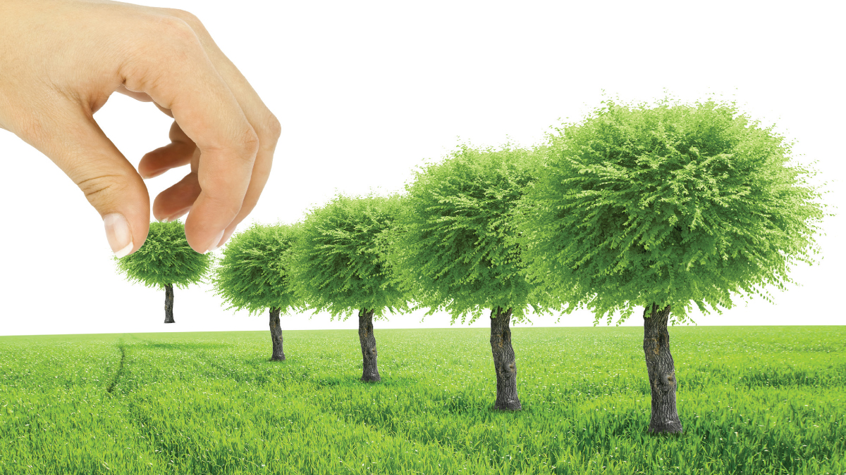 DİK DURAN ERDEMLİ GENÇLİK