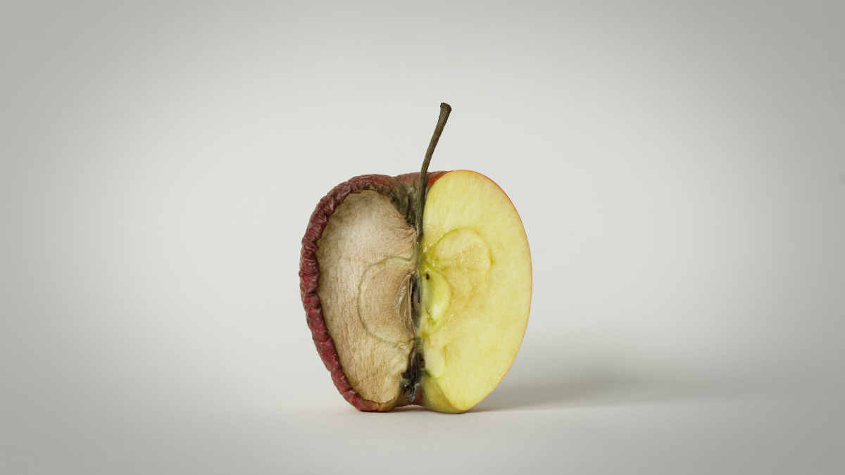 MODERN DÜNYANIN YENİ PUTU LGBT